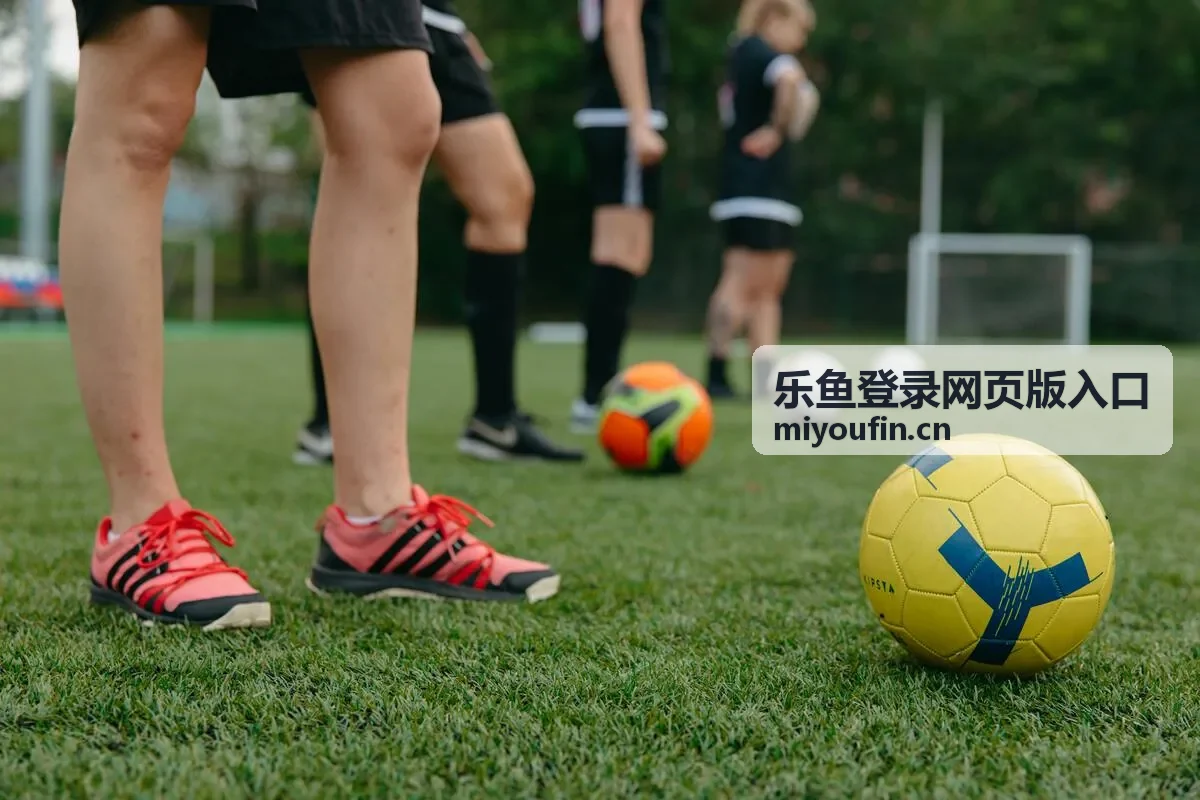 乐鱼登录网页版入口登录前的环境与账号准备示意